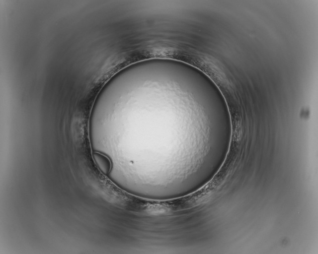 X0000090900363200708131357