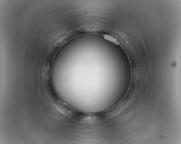 X0000090900364200708131357