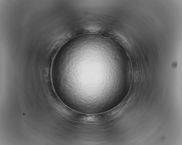 X0000090900365200708131357