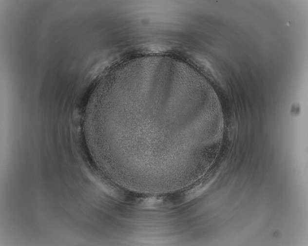 X0000090900366200708131357