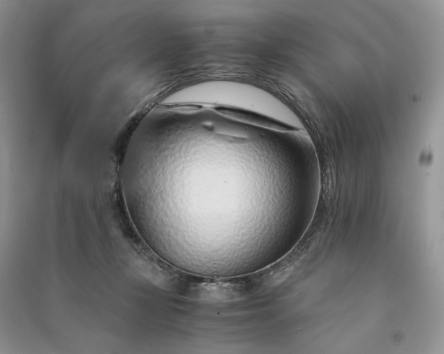 X0000090900367200708131357