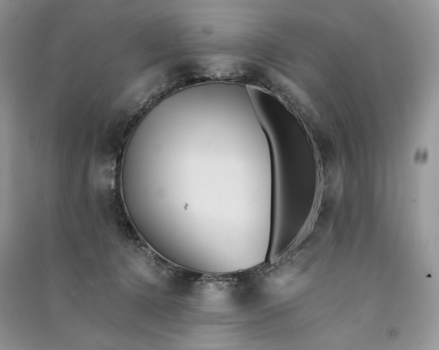 X0000090900368200708131357