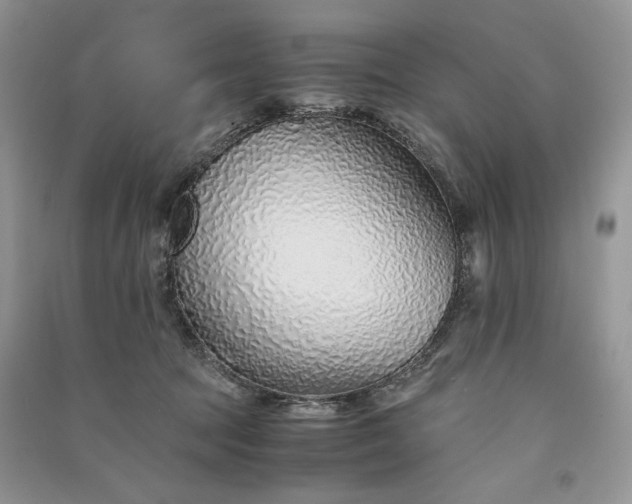 X0000090900369200708131357