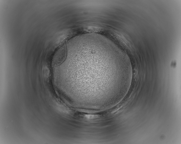 X0000090900371200708131357