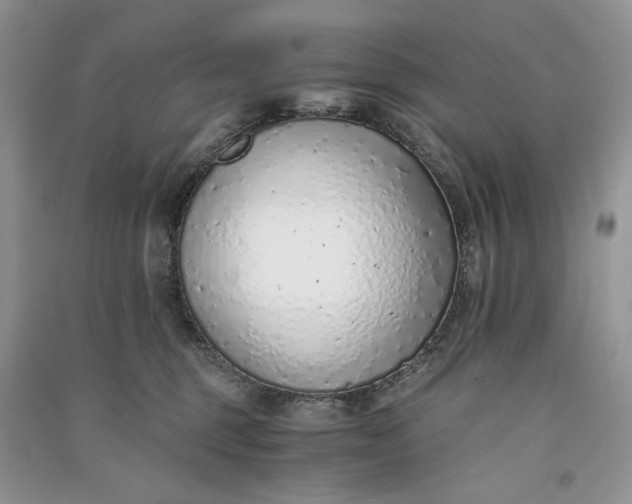 X0000090900375200708131357