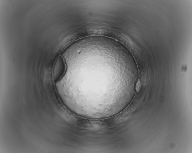 X0000090900377200708131357