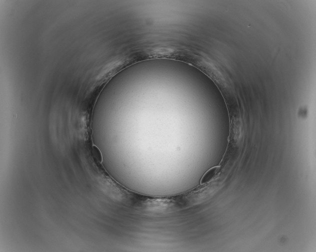 X0000090900378200708131357