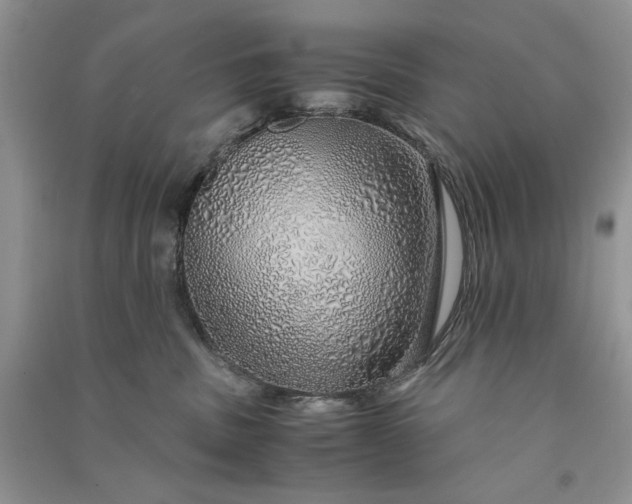 X0000090900379200708131357