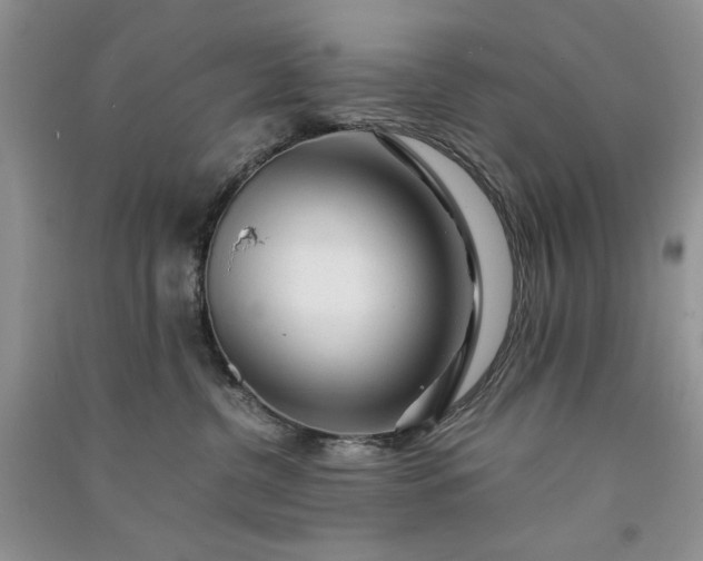 X0000090900380200708131357