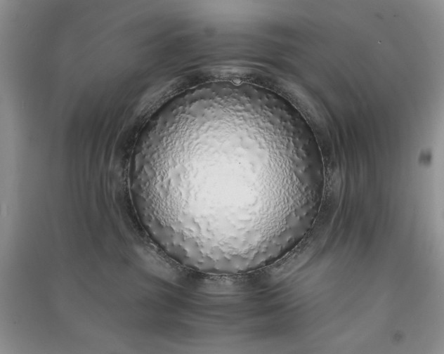 X0000090900381200708131357