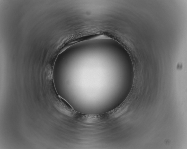 X0000090900384200708131357