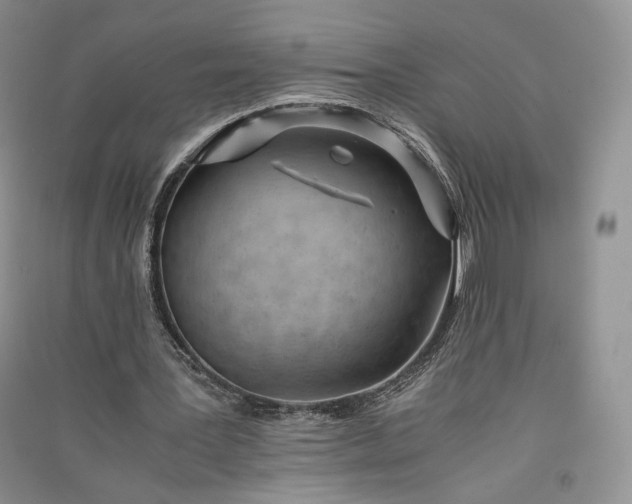 X0000090900387200708131356