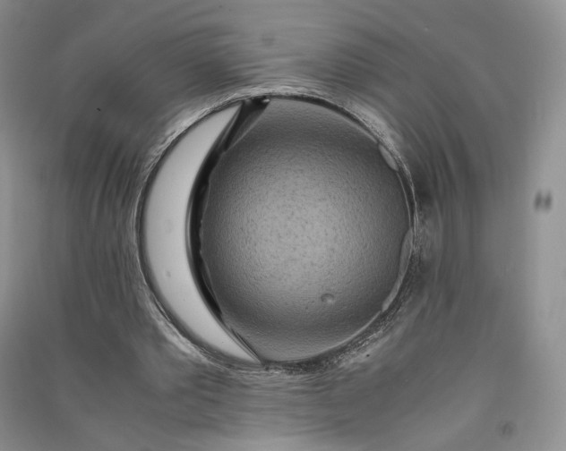 X0000090900389200708131356