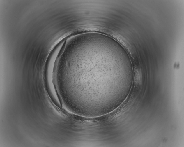 X0000090900390200708131356