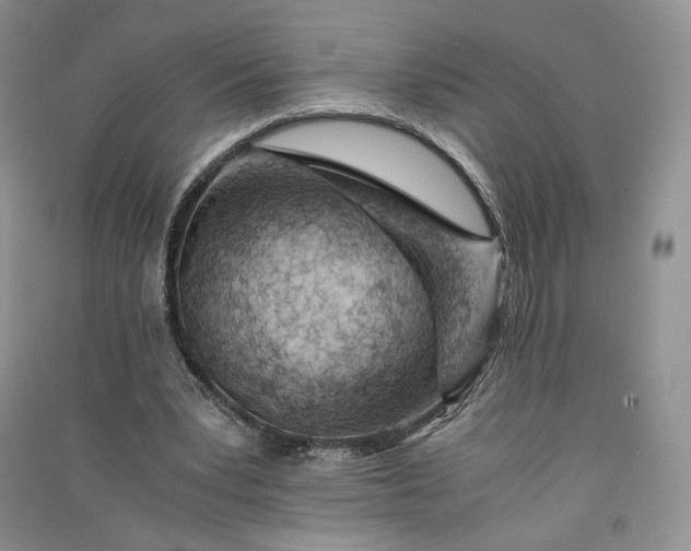 X0000090900391200708131356