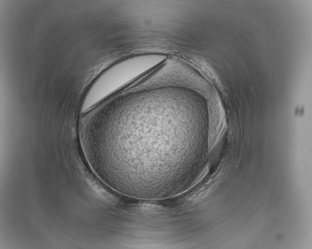 X0000090900393200708131356