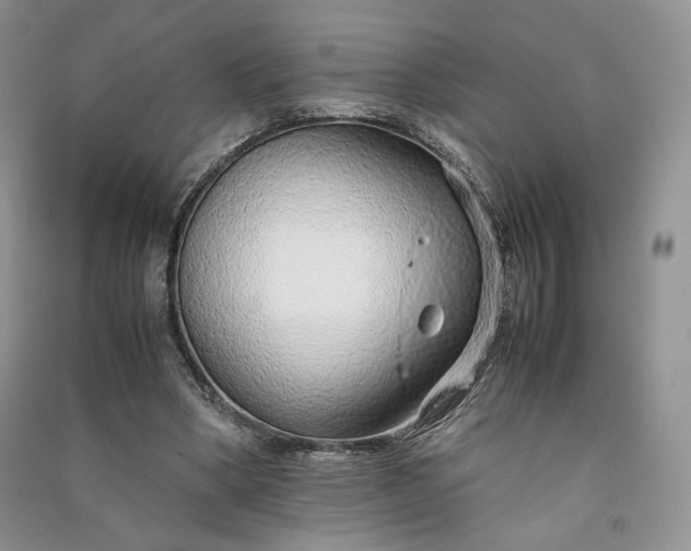 X0000090900394200708131356