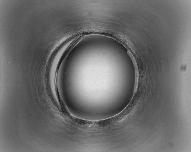 X0000090900395200708131356