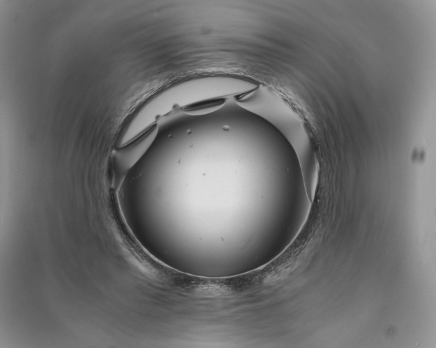 X0000090900397200708131356