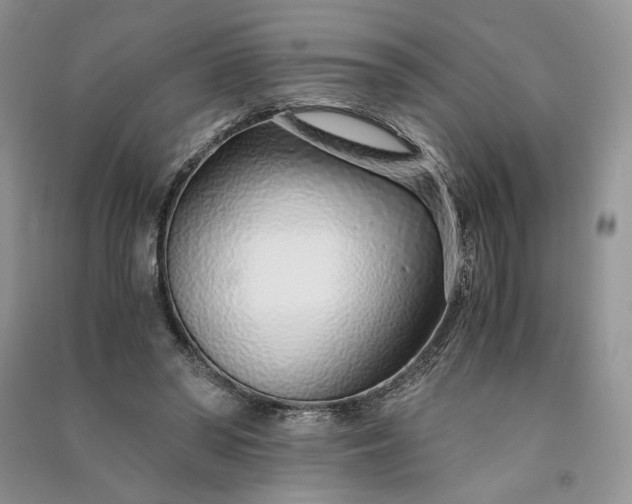 X0000090900398200708131356