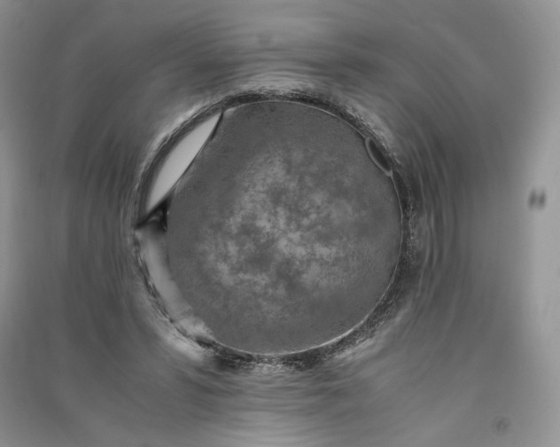 X0000090900399200708131356