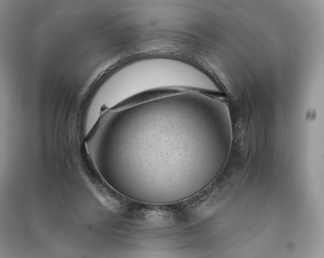 X0000090900400200708131356