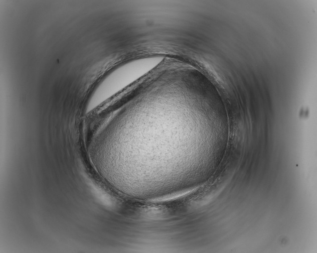 X0000090900402200708131356