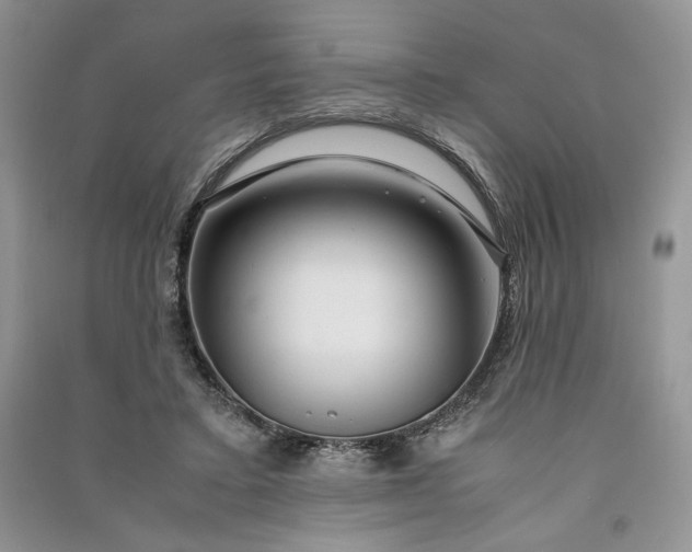 X0000090900403200708131356