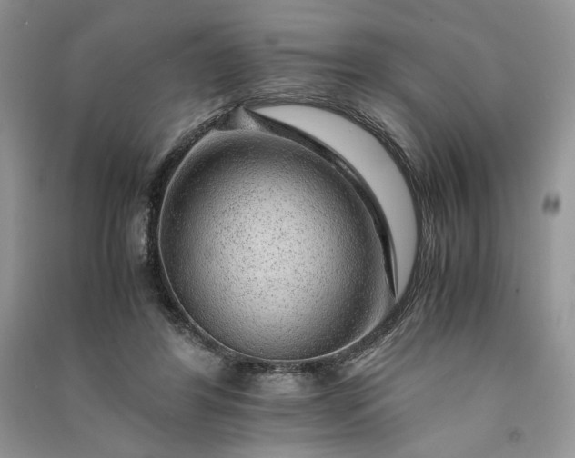 X0000090900404200708131356