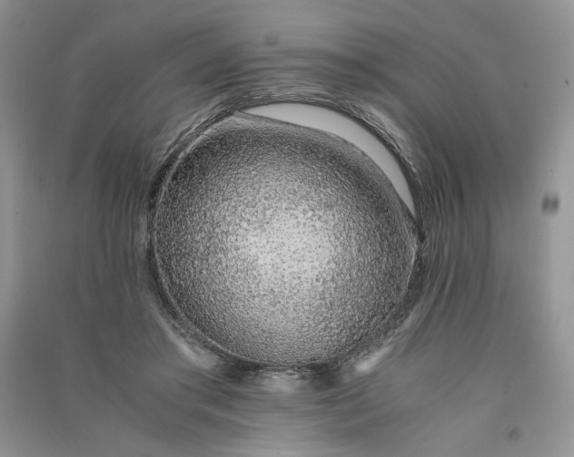 X0000090900405200708131356