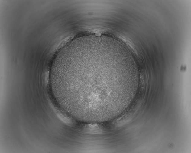 X0000090900406200708131356