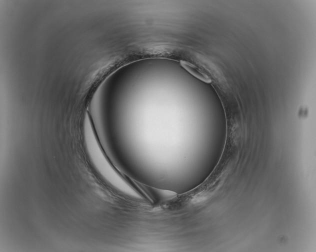 X0000090900407200708131356