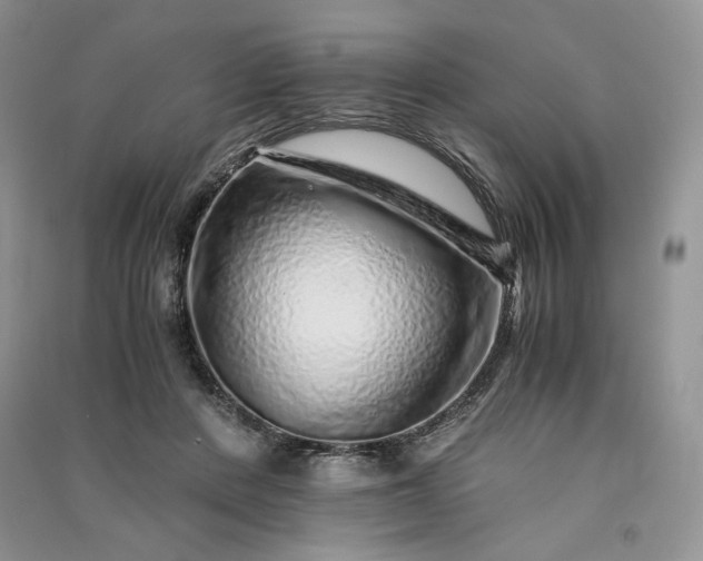 X0000090900408200708131356