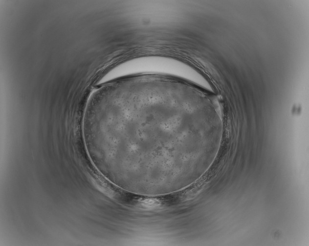 X0000090900409200708131356