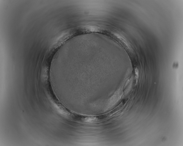 X0000090900410200708131356