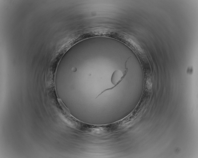 X0000090900411200708131356