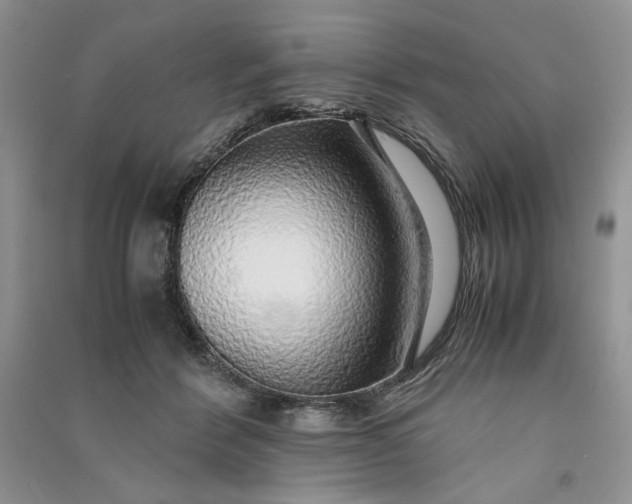 X0000090900412200708131356