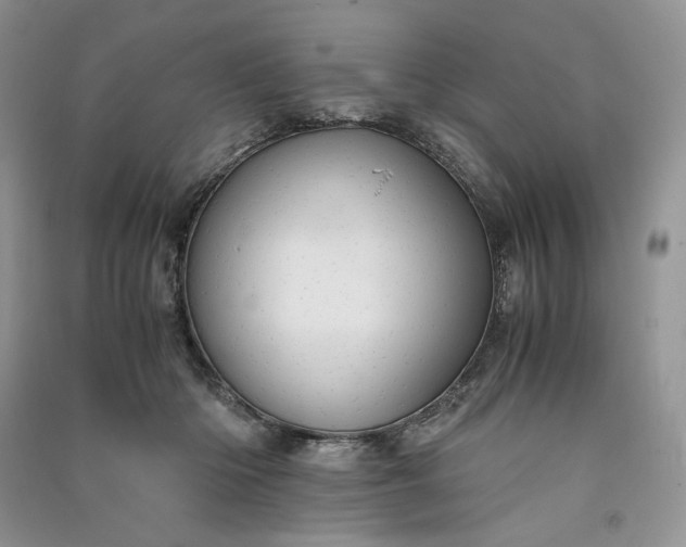 X0000090900414200708131356