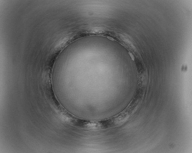 X0000090900415200708131356