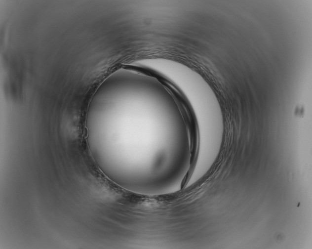 X0000090900416200708131356