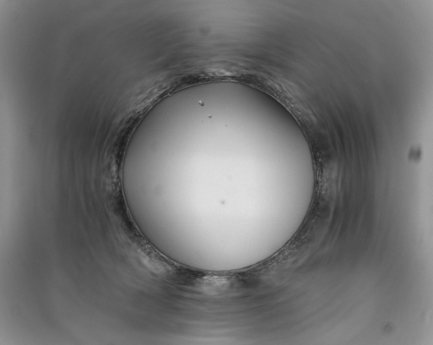 X0000090900418200708131356