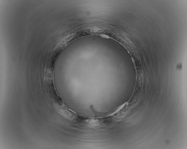 X0000090900419200708131356