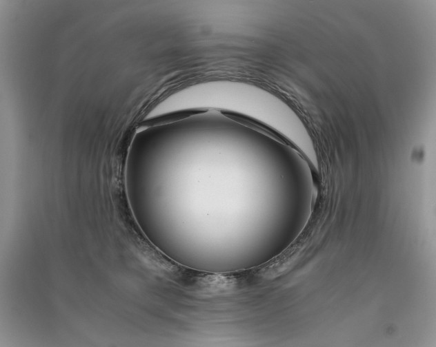 X0000090900421200708131356