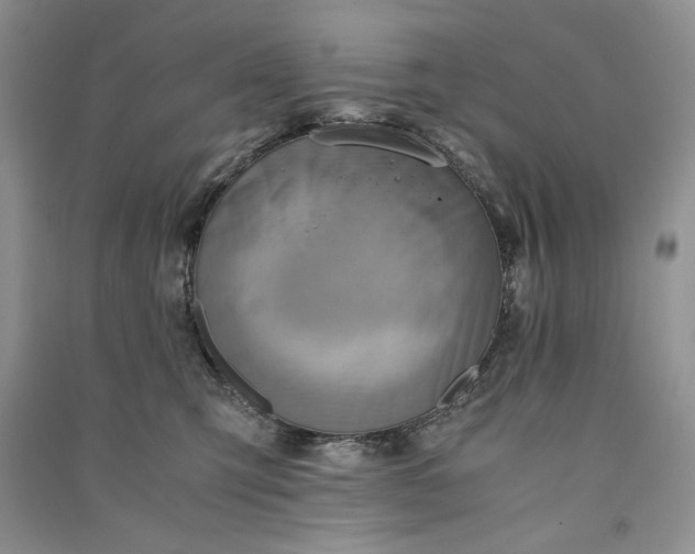 X0000090900423200708131356