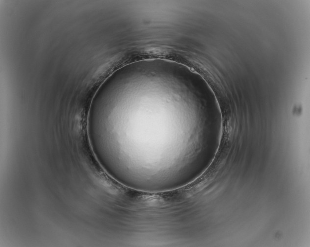 X0000090900424200708131356