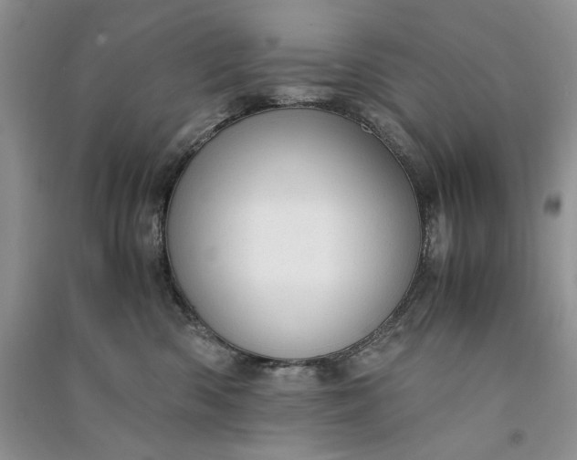 X0000090900426200708131356