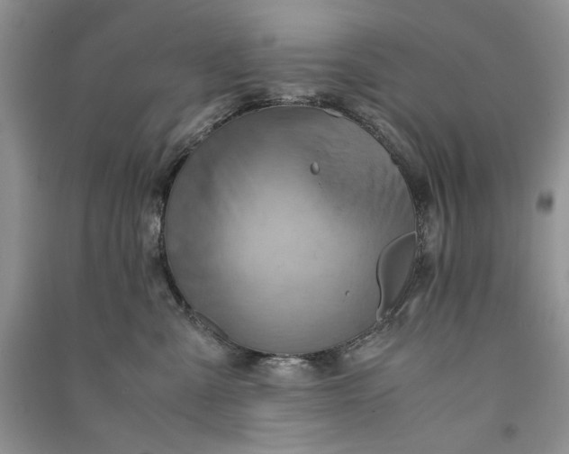 X0000090900427200708131356