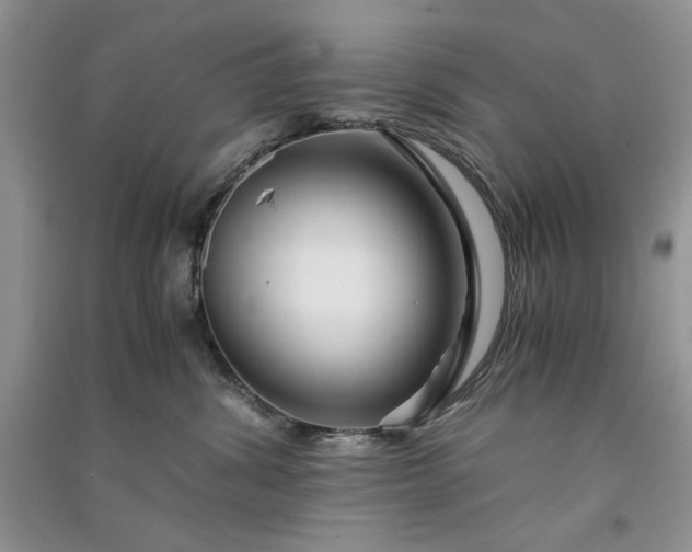 X0000090900428200708131356