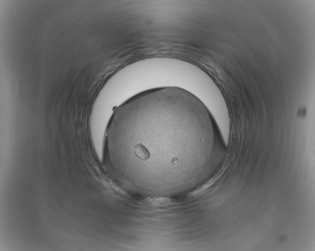 X0000090900429200708131356