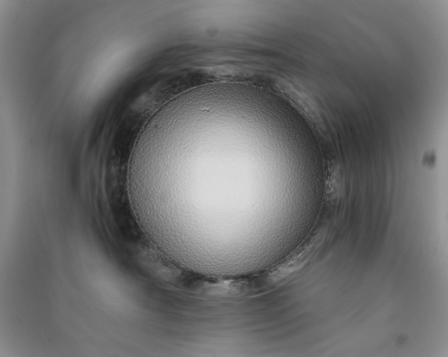 X0000090900430200708131356